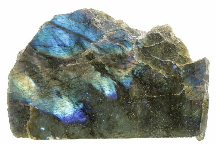 Single Side Polished Labradorite Slab - Madagascar #230255